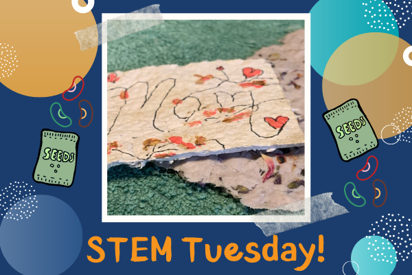 STEM Tuesdays: Seed Paper | Children's Museum of Atlanta