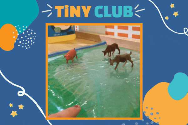 TiNY CLUB: Animal Habitat Sensory Bags | Children's Museum of Atlanta