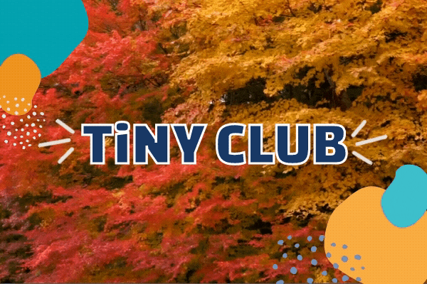 TiNY Club: Leaf Chromatography | Children's Museum of Atlanta