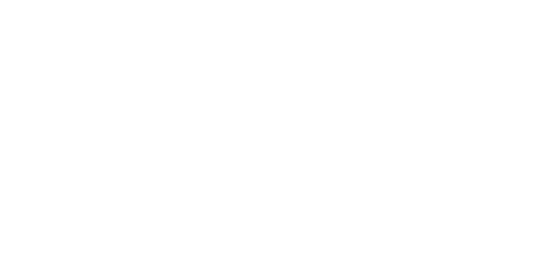 Aileen Reischl & Andrew Chang