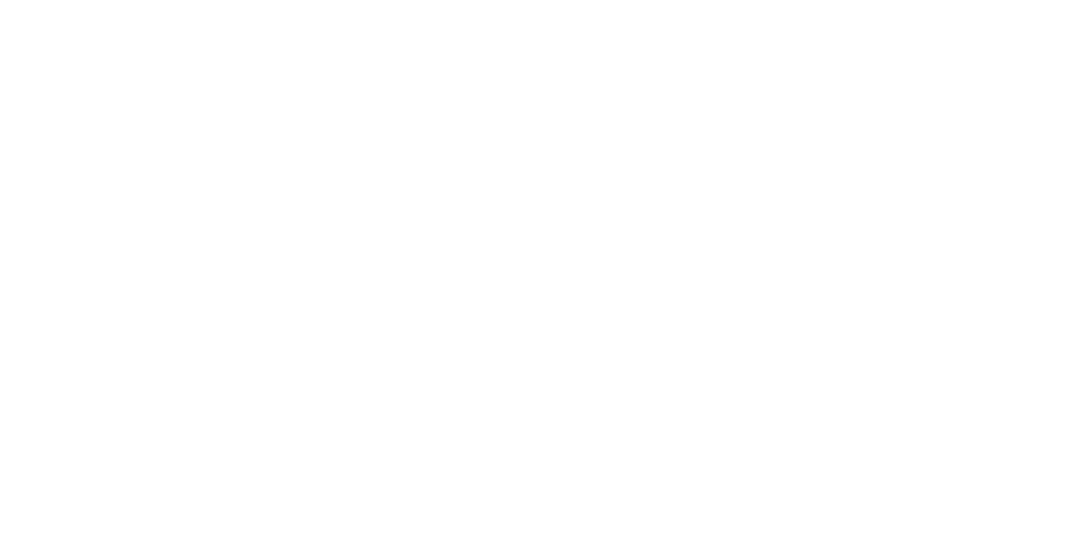 Elaine and Allan Tanenbaum