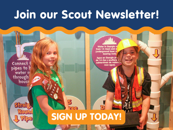 scout newsletter