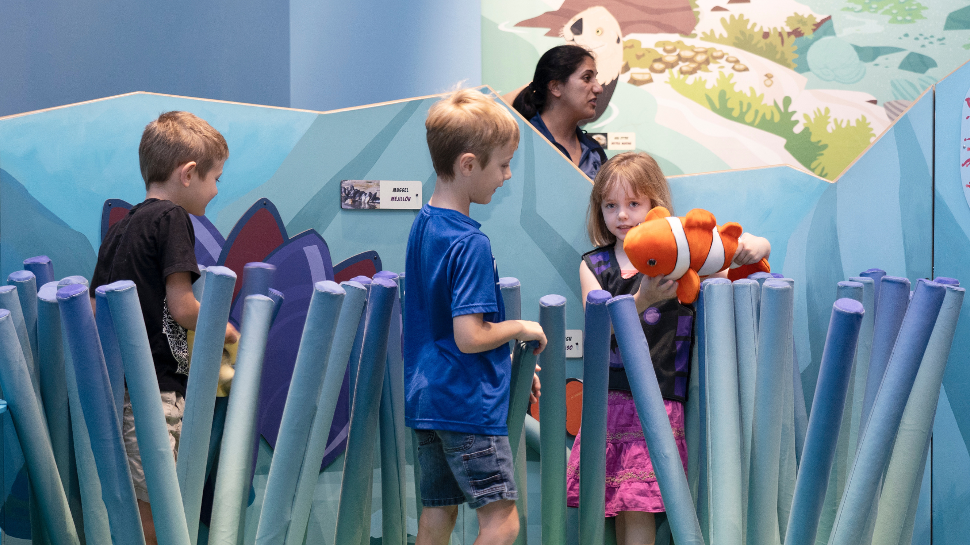 wild kratts